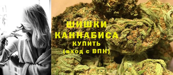 спиды Вяземский