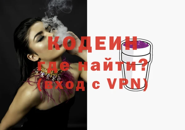 спиды Вяземский