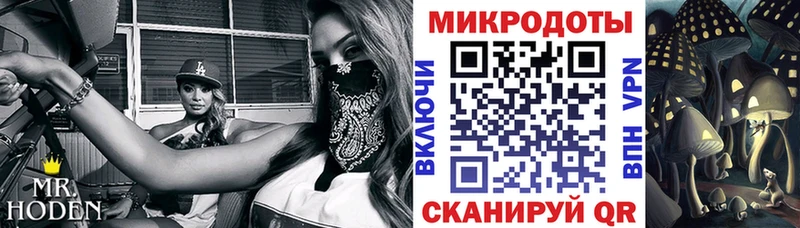 kraken   Обоянь  площадка какой сайт  где купить   Галлюциногенные грибы мицелий 